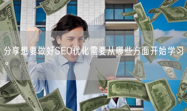 分享想要做好SEO优化需要从哪些方面开始学习。(图1)