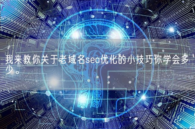 我来教你关于老域名seo优化的小技巧你学会多少。(图1)