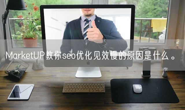 MarketUP教你seo优化见效慢的原因是什么。(图1)