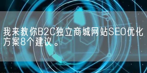 我来教你B2C独立商城网站SEO优化方案8个建议。(图1)