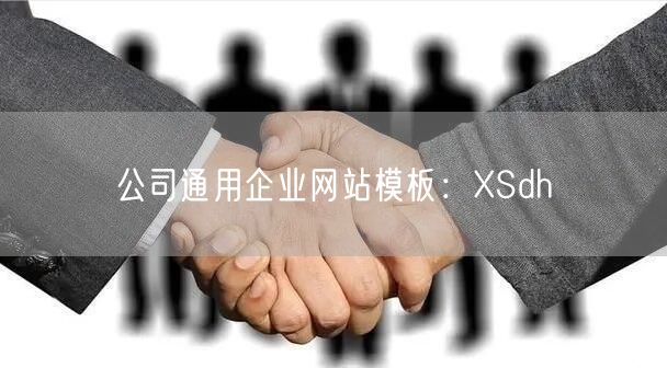 公司通用企业网站模板：XSdh(图1)