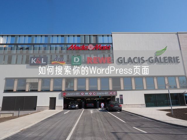 如何搜索你的WordPress页面(图1)