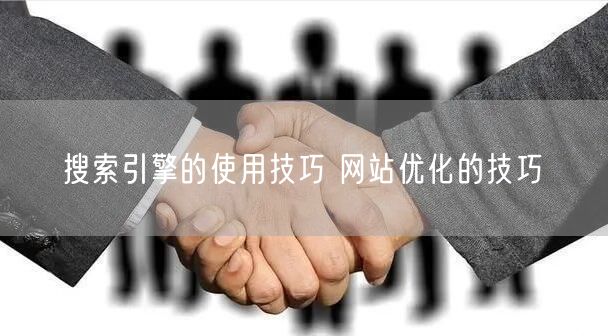 搜索引擎的使用技巧 网站优化的技巧(图1)