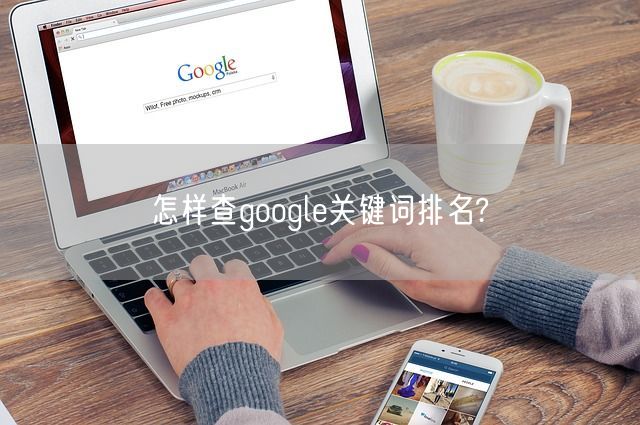 怎样查google关键词排名?(图1)