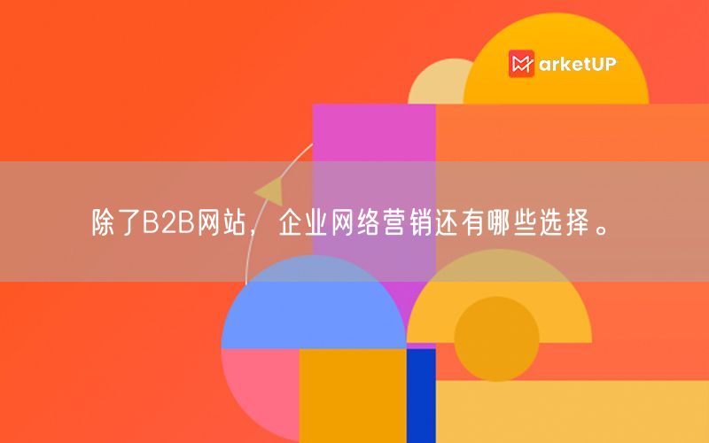 除了B2B网站，企业网络营销还有哪些选择。(图1)