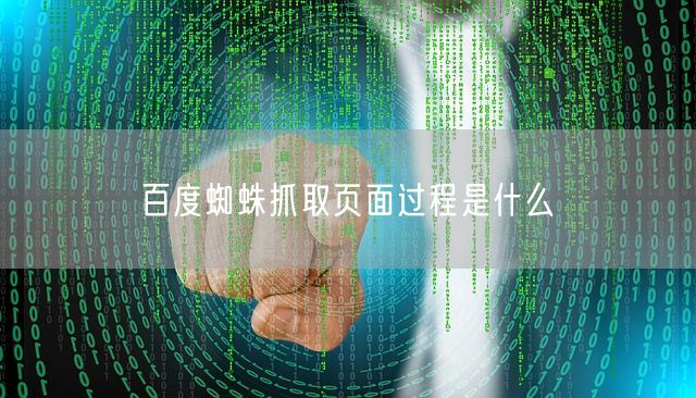 百度蜘蛛抓取页面过程是什么(图1)