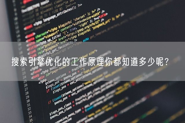 搜索引擎优化的工作原理你都知道多少呢？(图1)