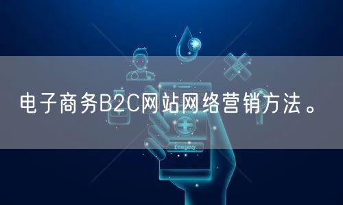 电子商务B2C网站网络营销方法。(图1)