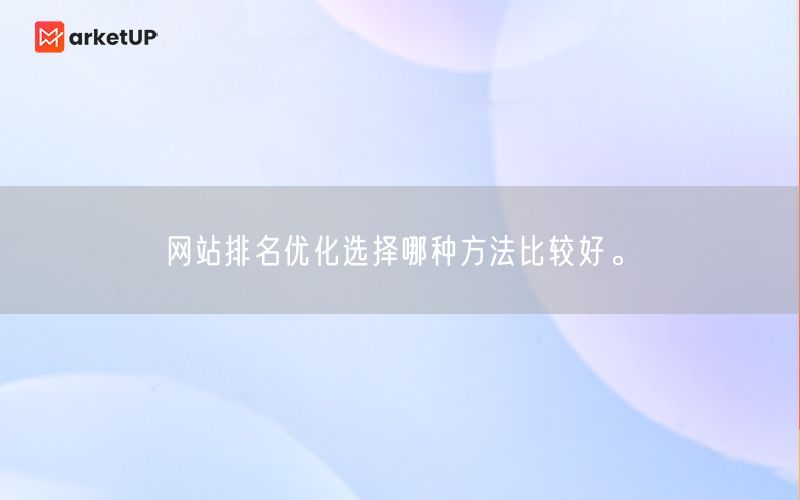 网站排名优化选择哪种方法比较好。(图1)