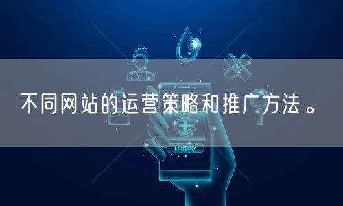 不同网站的运营策略和推广方法。(图1)