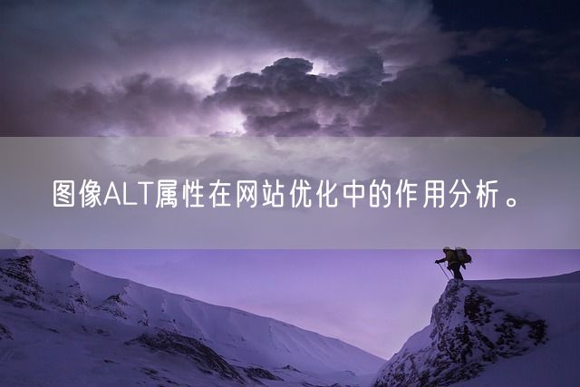 图像ALT属性在网站优化中的作用分析。(图1)