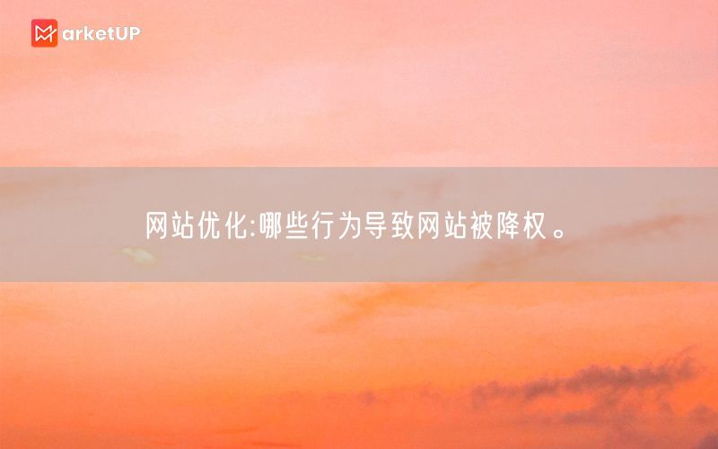 网站优化:哪些行为导致网站被降权。(图1)