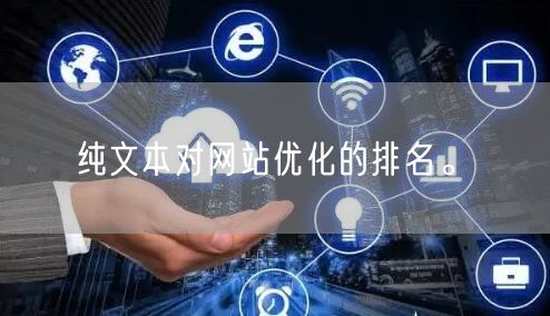 纯文本对网站优化的排名。(图1)