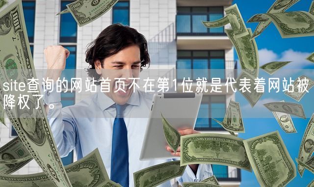 site查询的网站首页不在第1位就是代表着网站被降权了。(图1)