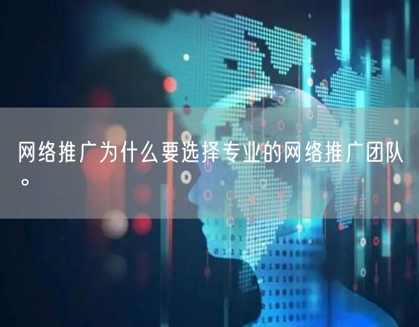 网络推广为什么要选择专业的网络推广团队。(图1)