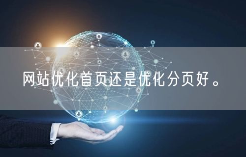 网站优化首页还是优化分页好。(图1)