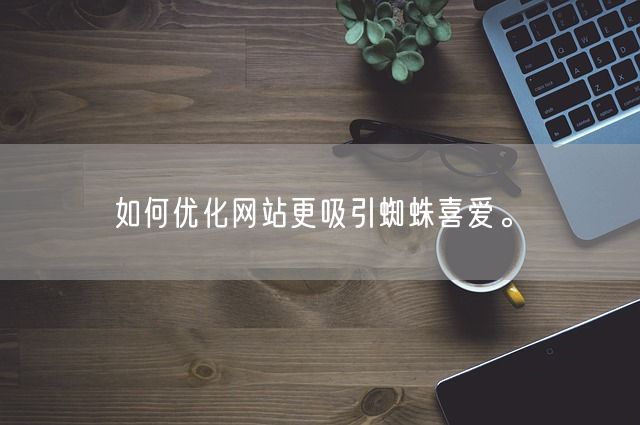 如何优化网站更吸引蜘蛛喜爱。(图1)