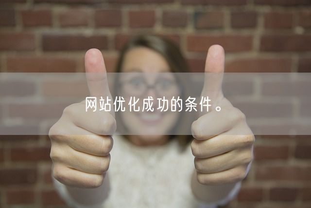 网站优化成功的条件。(图1)