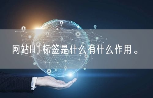 网站H1标签是什么有什么作用。(图1)