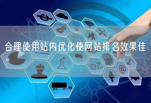 合理使用站内优化使网站排名效果佳。(图1)