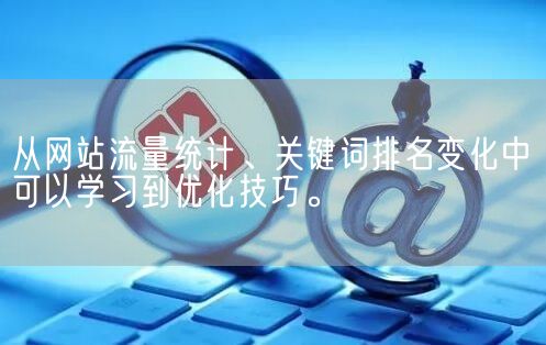 从网站流量统计、关键词排名变化中可以学习到优化技巧。(图1)