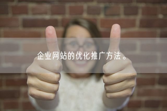 企业网站的优化推广方法。(图1)