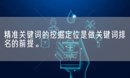 精准关键词的挖掘定位是做关键词排名的前提。(图1)