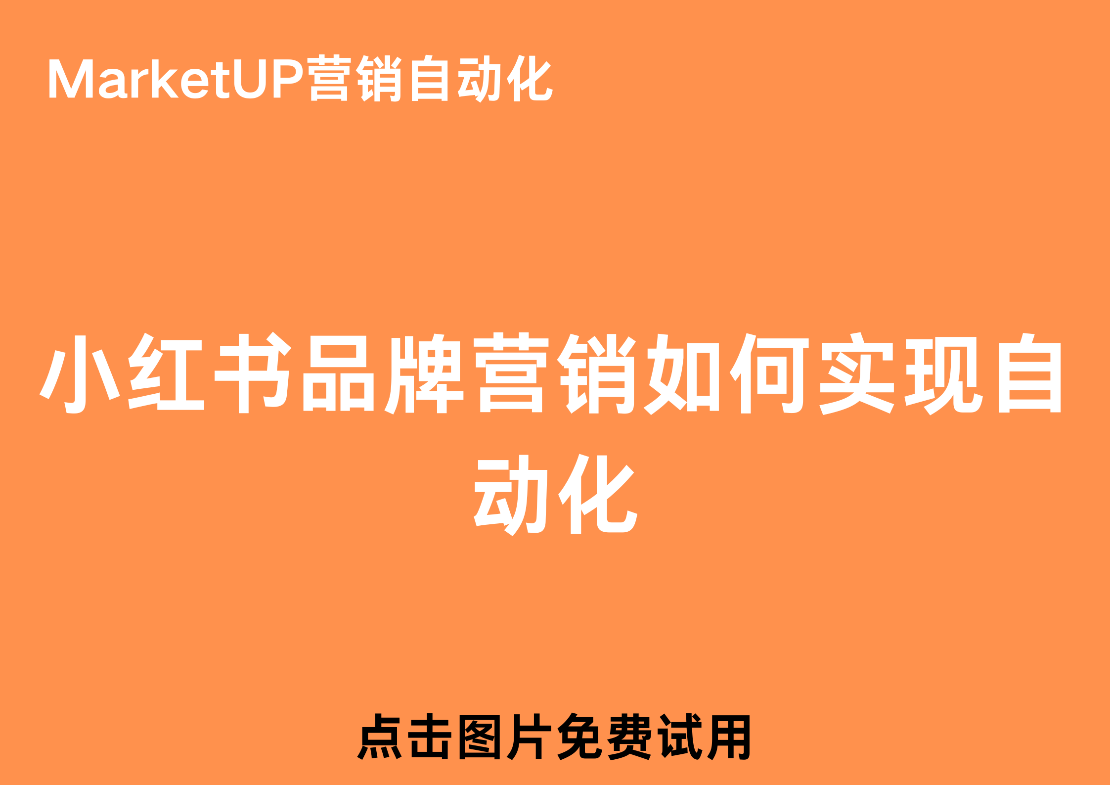 MarketUP营销(11).png