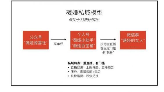 146 卧底了20个红人主播社群，我总结了薇娅、李佳琦、散打哥的私域模式