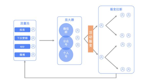 a710 15个月营收连续超过一千万，这家教育机构都干了什么？