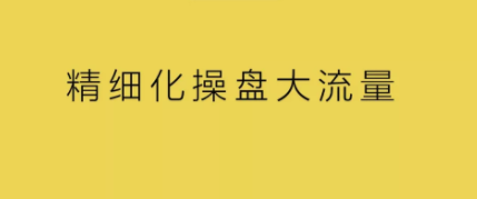 1 166 精细化操盘大流量