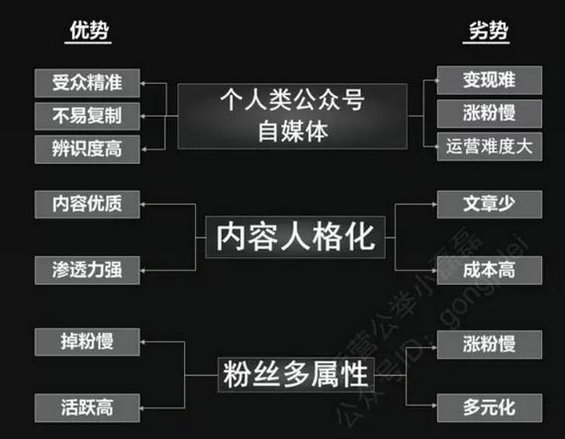 113 运营公众号必须搞懂：自媒体、平台号、垂直及细分号的定位！