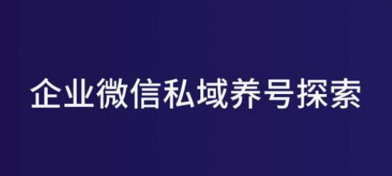 5000字方法论：企业微信私域养号闭坑指南