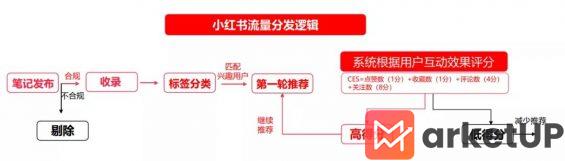 731 如何利用小红书搜索位引流精准粉丝？