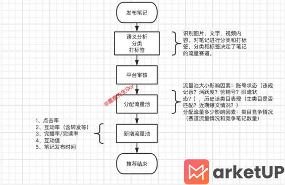 482 小红书博主起号指南