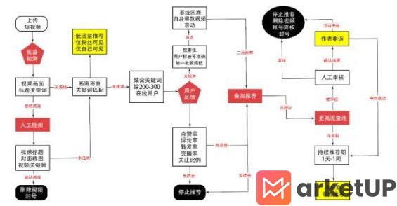 431 小红书、视频号、抖音流量算法机制，建议收藏！